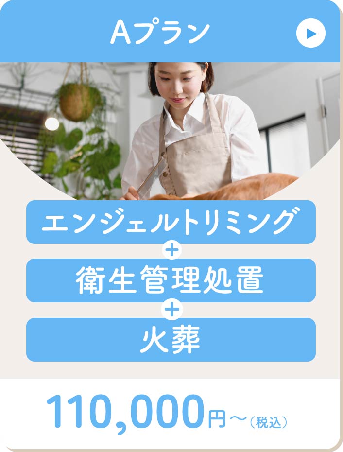 Aプランはトリミングと衛生管理処置と火葬
