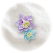 コットンフラワー