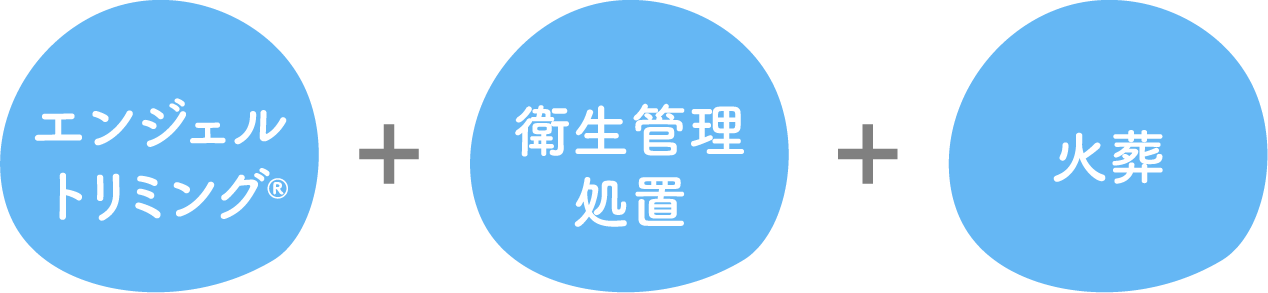 Aプラン
