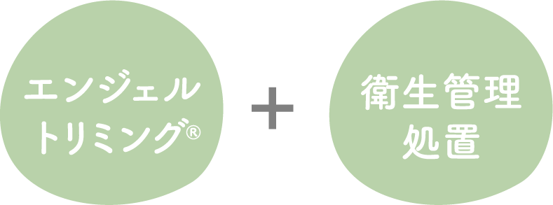Bプラン