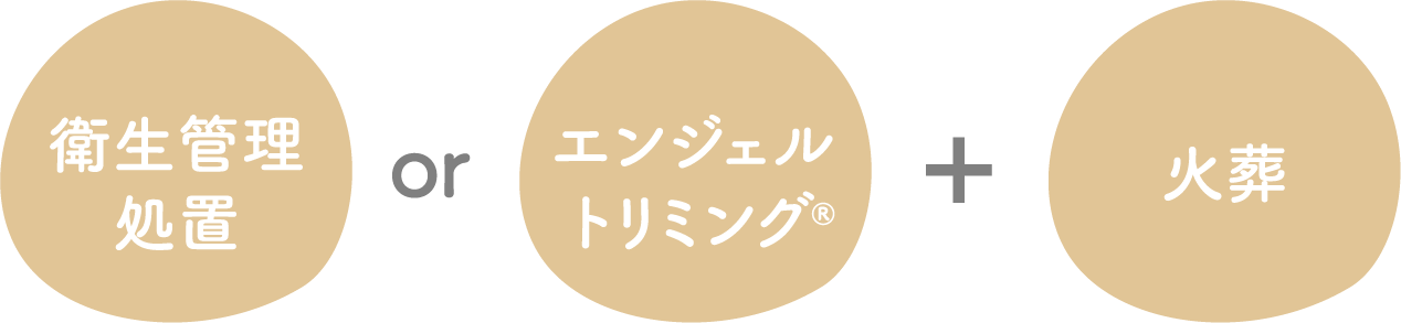 Cプラン