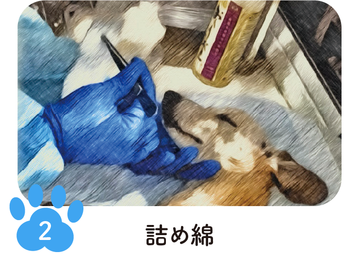 手順2 詰め綿