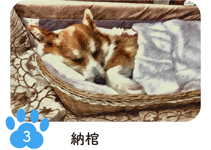 手順3 納棺