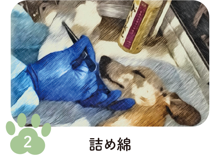 手順2 詰め綿