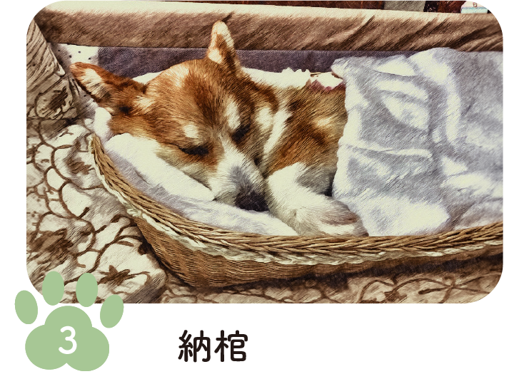 手順3 納棺