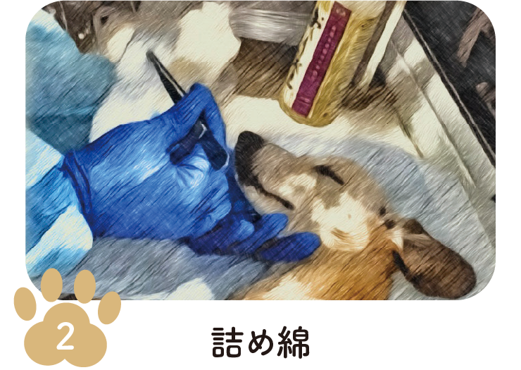 手順2 詰め綿