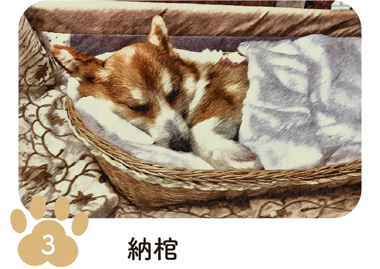 手順3 納棺