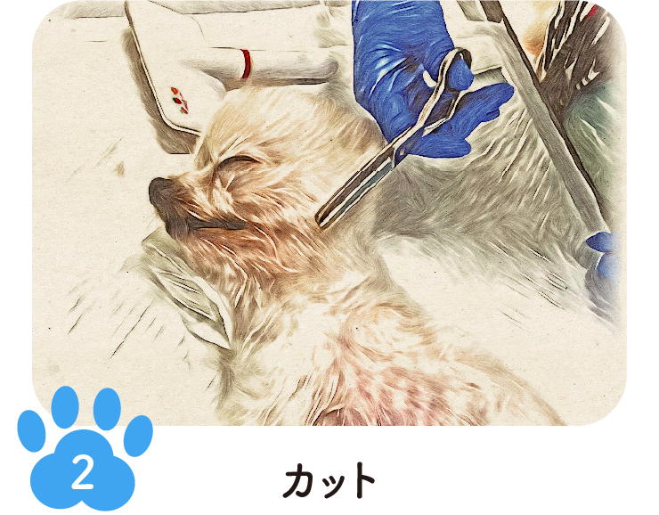 手順2 カット