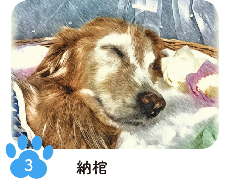 手順3 納棺