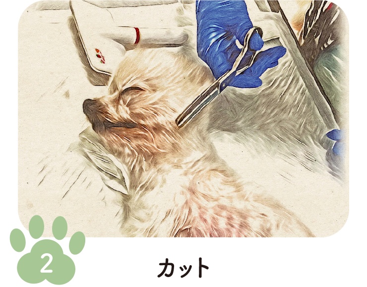 手順2 カット