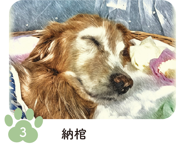 手順3 納棺