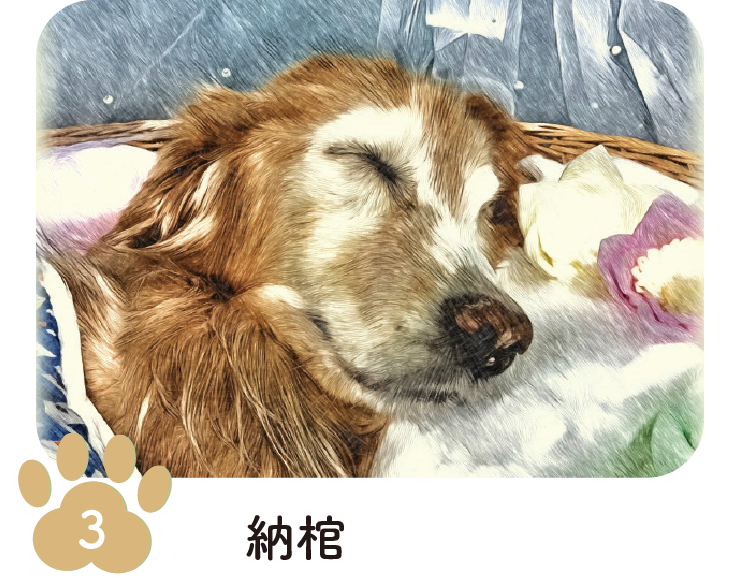 手順3 納棺