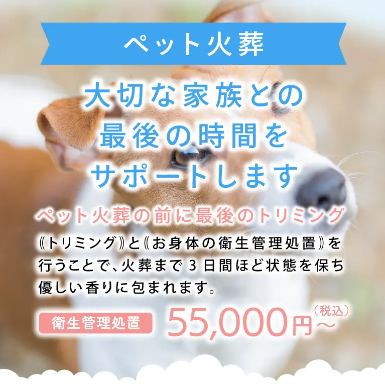 エンジェルトリミング®sora