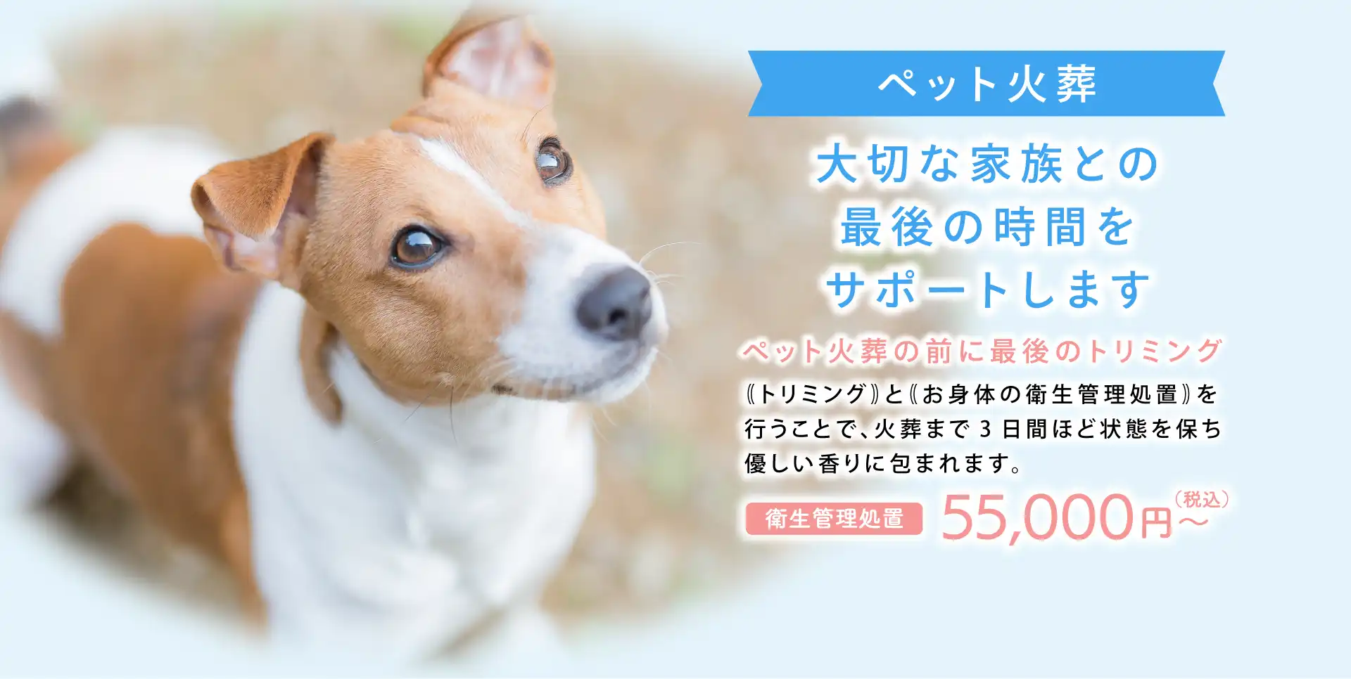 ペット火葬の前に最後のトリミング